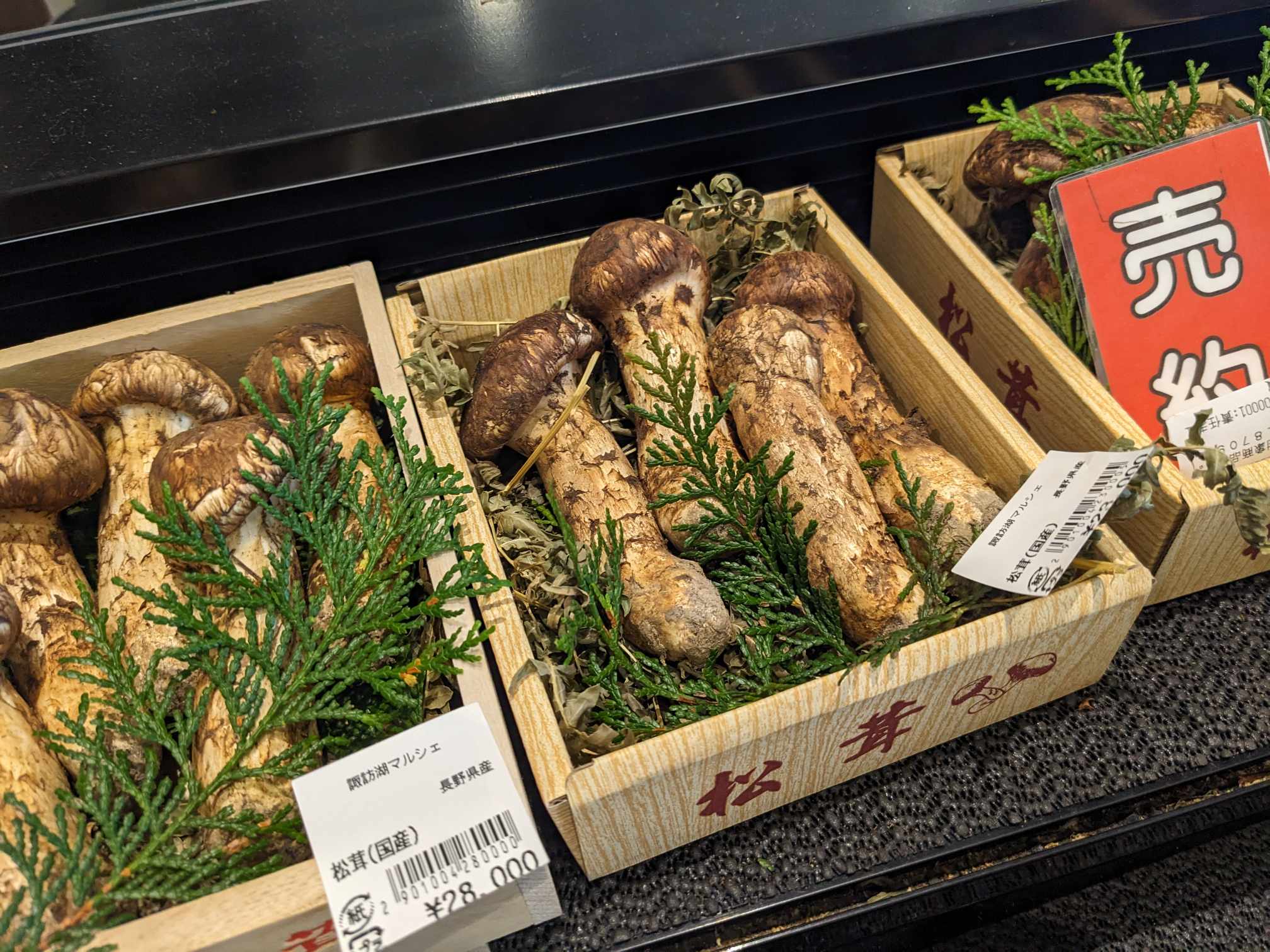 松茸販売中! | 株式会社八百新